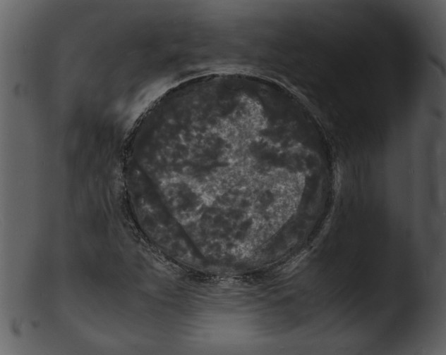 X0000103291263200809261241