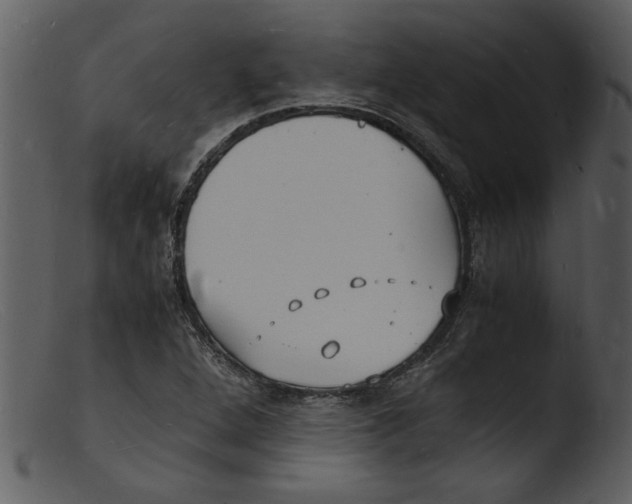 X0000103291264200809261241