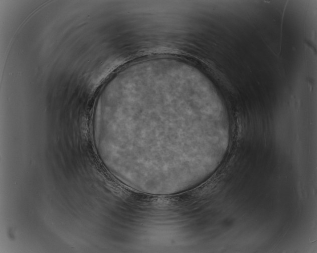 X0000103291266200809261241
