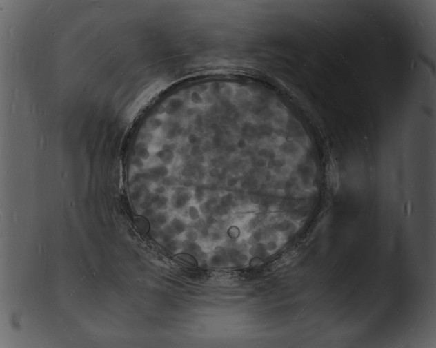 X0000103291267200809261241