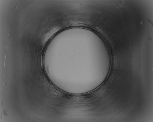 X0000103291269200809261241