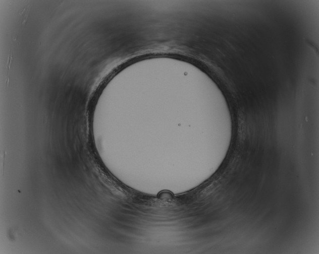 X0000103291270200809261241