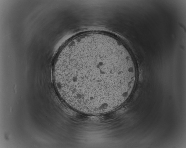 X0000103291271200809261241