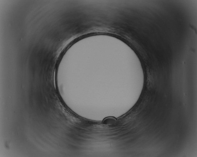 X0000103291272200809261241
