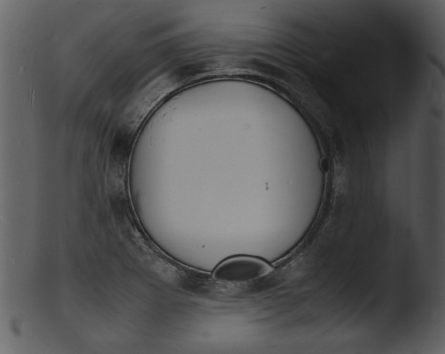 X0000103291273200809261241