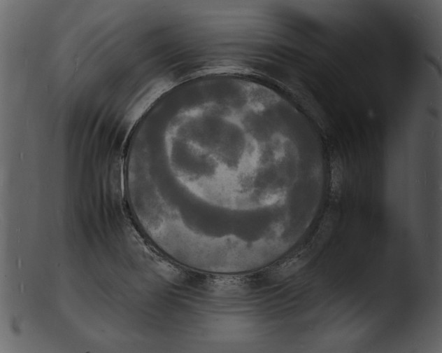 X0000103291274200809261241