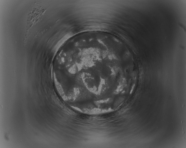 X0000103291275200809261241