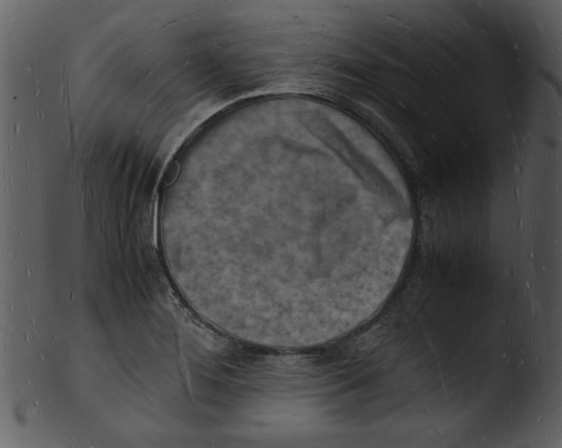 X0000103291276200809261241
