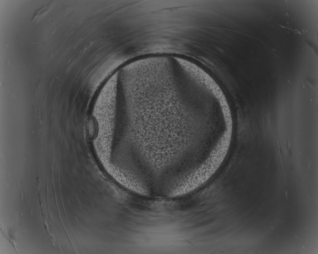 X0000103291277200809261241