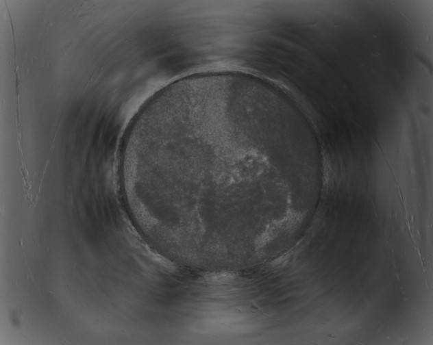 X0000103291278200809261241