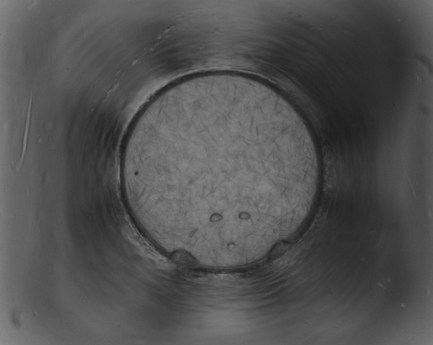 X0000103291280200809261241