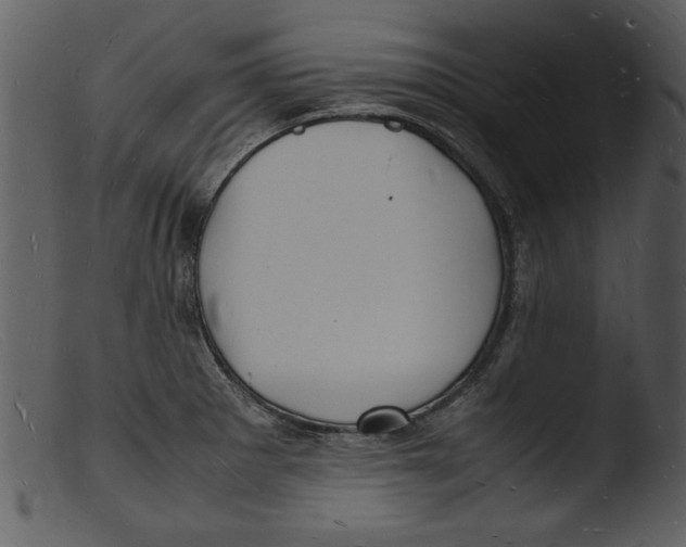 X0000103291281200809261241