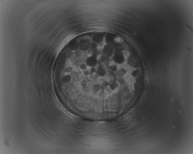 X0000103291283200809261241