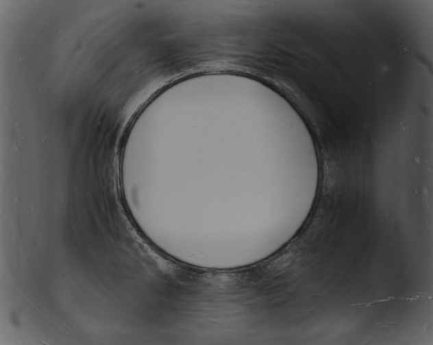 X0000103291286200809261241