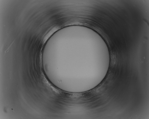 X0000103291290200809261241