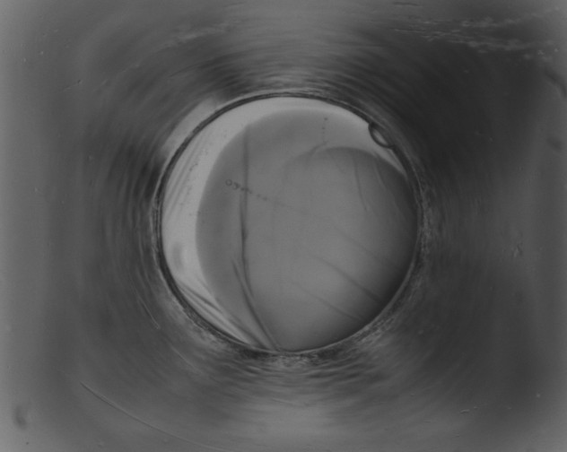 X0000103291291200809261241