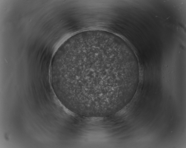 X0000103291294200809261241