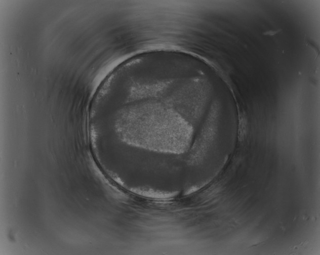 X0000103291295200809261241