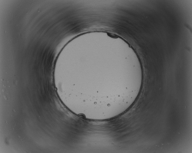 X0000103291296200809261241