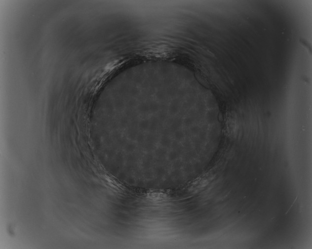X0000103291297200809261240