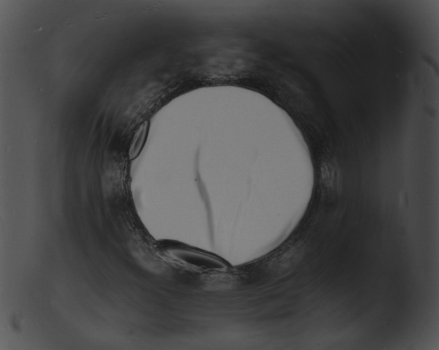 X0000103291300200809261240