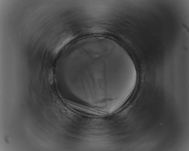 X0000103291306200809261240