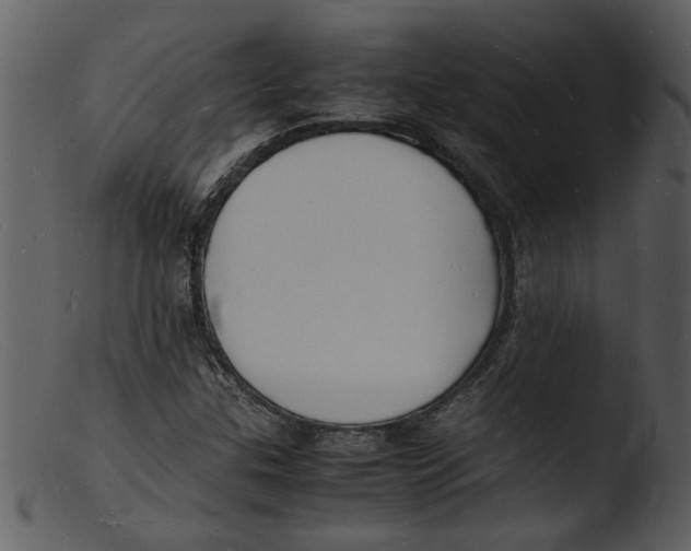 X0000103291307200809261240