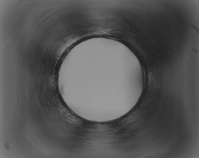 X0000103291308200809261240