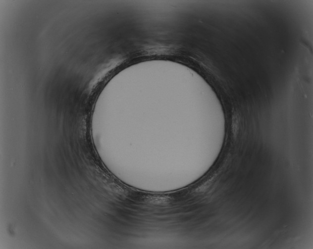 X0000103291309200809261240