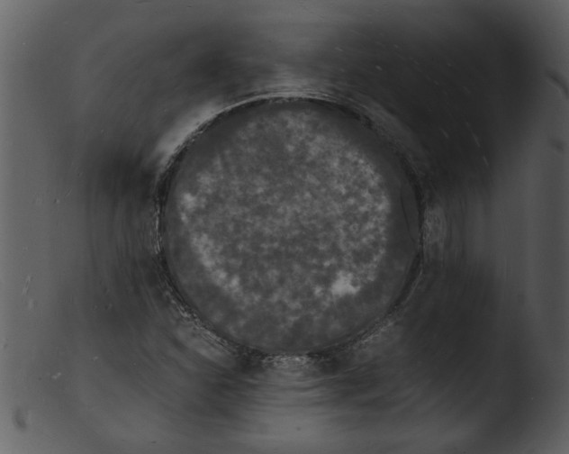 X0000103291310200809261240