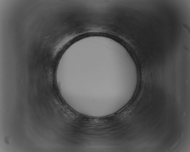 X0000103291311200809261240