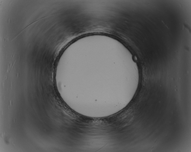 X0000103291316200809261240