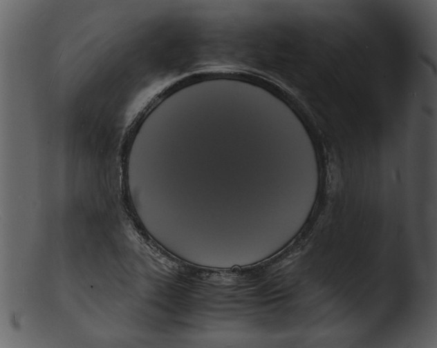 X0000103291319200809261240