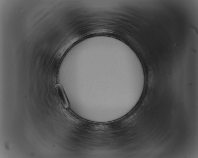 X0000103291321200809261240