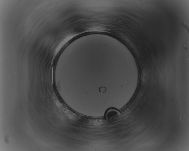 X0000103291323200809261240