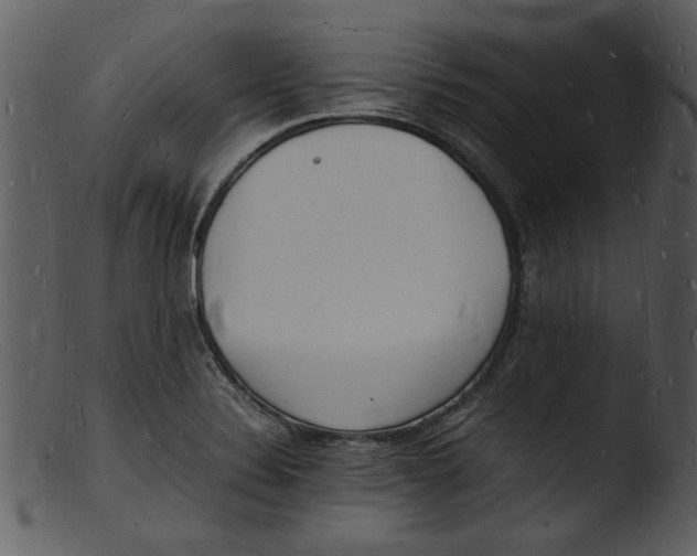 X0000103291324200809261240