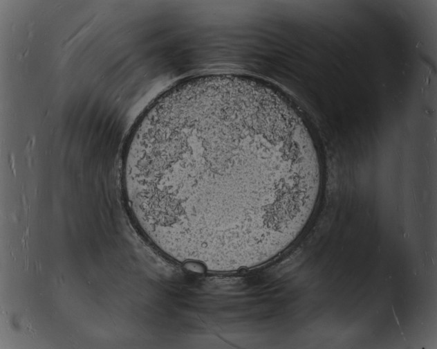 X0000103291325200809261240