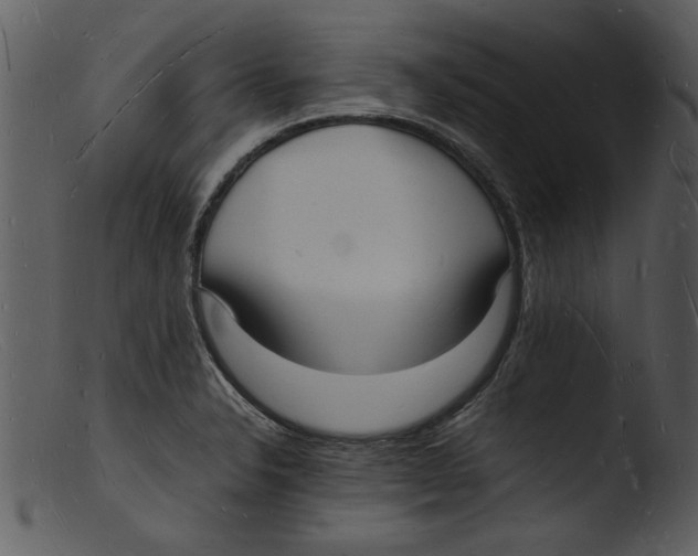 X0000103291326200809261240