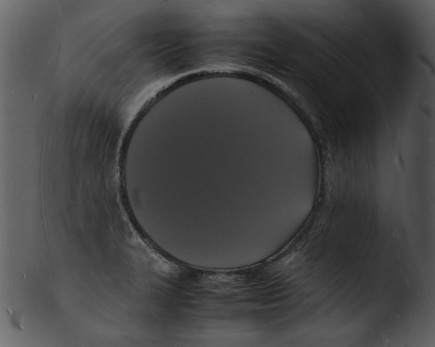 X0000103291327200809261240