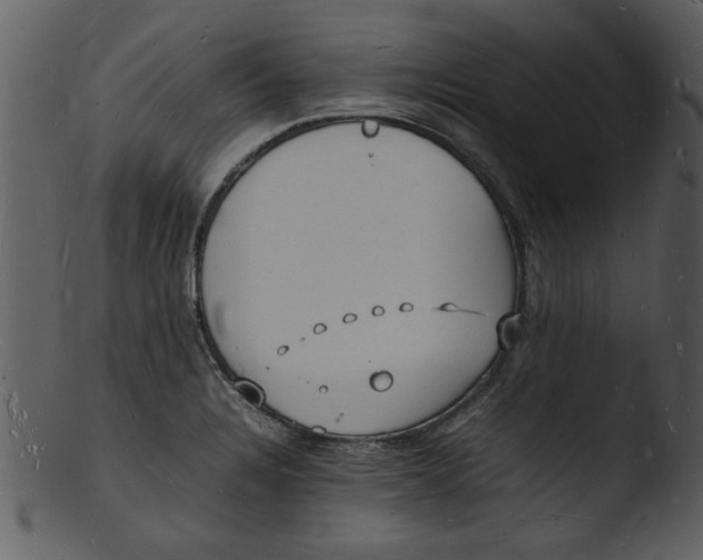 X0000103291328200809261240