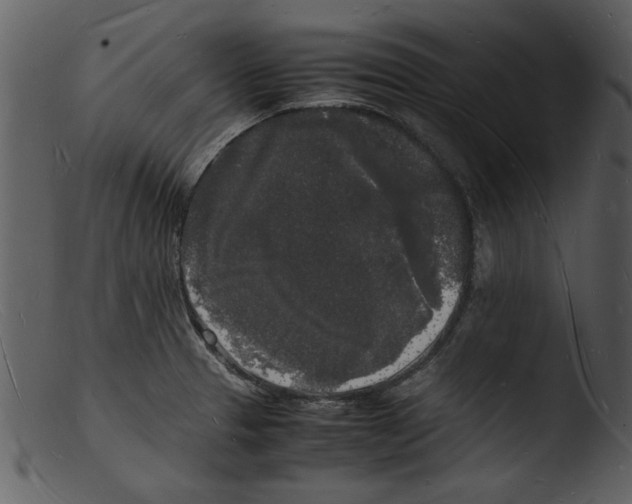X0000103291329200809261240