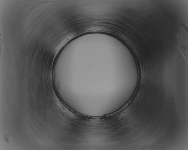 X0000103291330200809261240