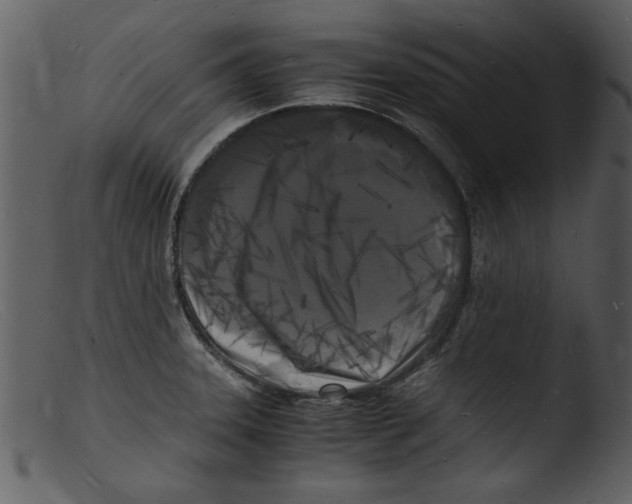 X0000103291331200809261240