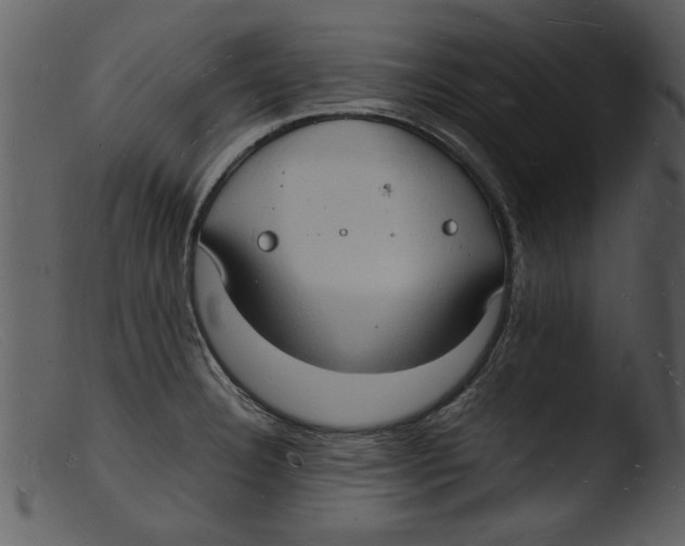 X0000103291332200809261240