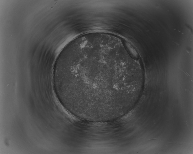 X0000103291333200809261240