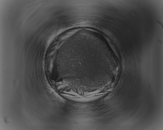 X0000103291334200809261240