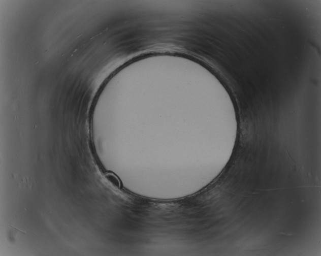X0000103291335200809261240