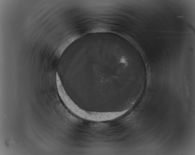 X0000103291337200809261240