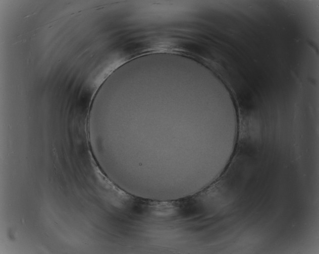 X0000103291338200809261240