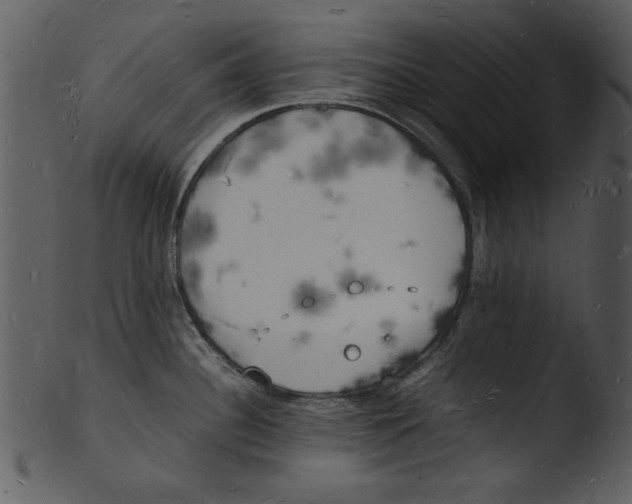 X0000103291340200809261241